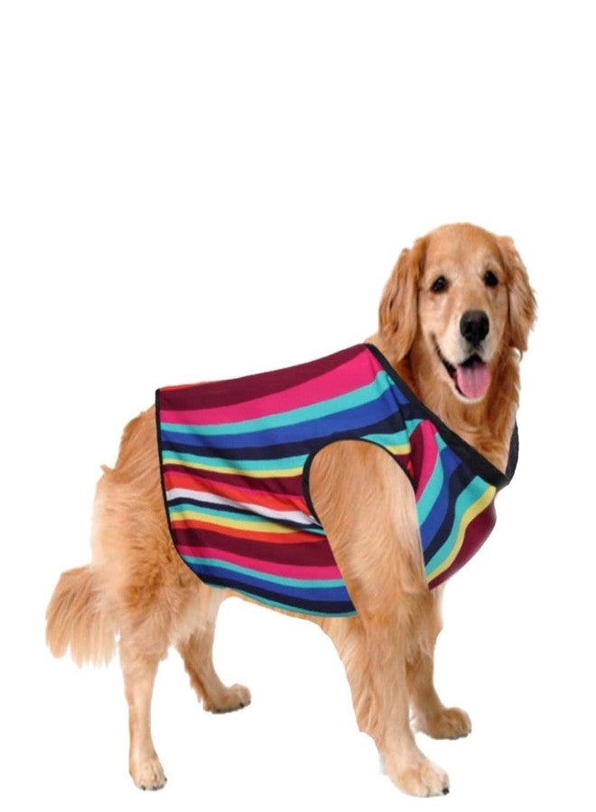 Sage Square Colorful Stripes Print T-Shirt - Trendsetting Dog Apparel for Ultimate Style & Comfort, Let Your Dog Stay Cool & Stylish in Any Season, Fashion Curve with Stylish Canine Attire (10 Inche) - Image 1